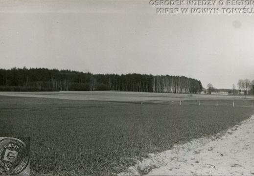 Wytomyskie pola należące do F. Szofera, 1975 r.