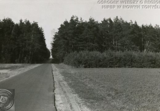 Droga prowadząca z Wytomyśla do Lwówka, 1975 r.