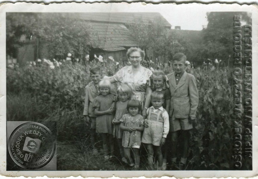 Przed kwitnąca plantacją maku - 1956 r.