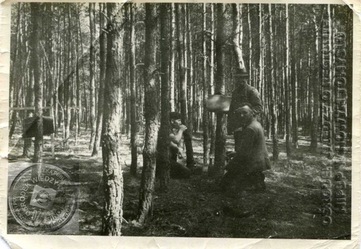 Wykopaliska archeologiczne w Wytomyślu - 1959 r.