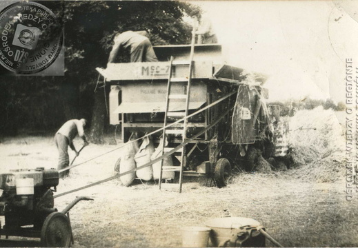 Młocka u Adamczaków. Maszyna nowa, napęd starszy - 1966 r.