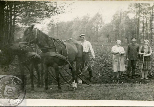 Prace polowe. Rodzina Klimków z Cichej Góry. Około 1965 r.