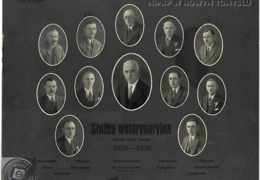 Tablo służby weterynaryjnej w powiecie nowotomyskim, w latach 1929-1936