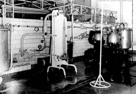 Spółdzielnia Mleczarska w Nowym Tomyślu, 1956 r.