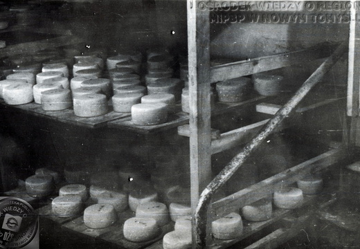 Dojrzewanie serów w OSM w Nowym Tomyślu, 1967 r.