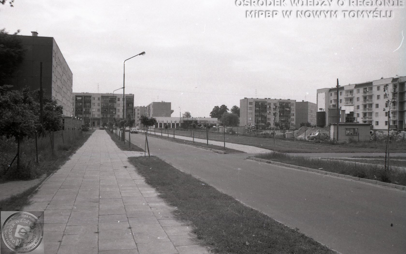 MiPBP_w_NT_gm_2022_03_204.png
