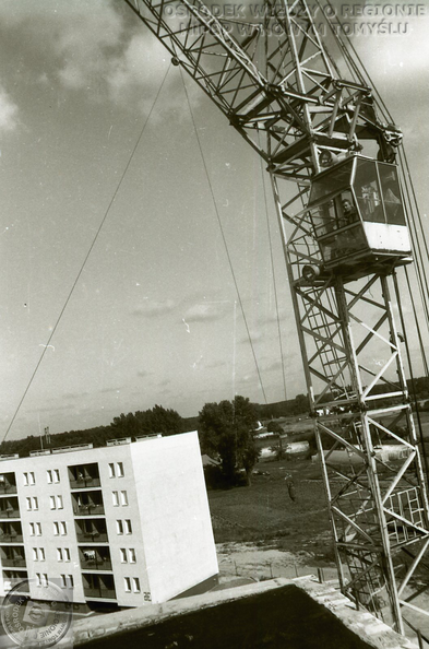 MiPBP_w_NT_gm_2022_03_208.png