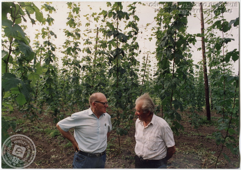 MiPBP_w_NT_gm_21_10_01_OWoR_014_plantacja_pana_Binkowskiego.jpg