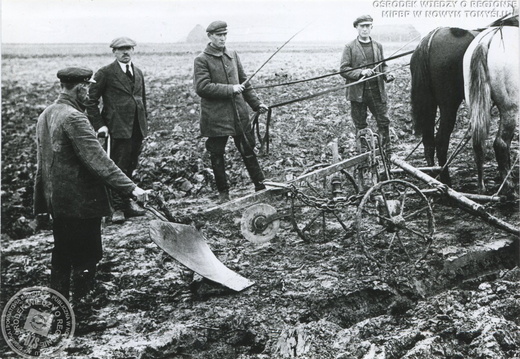 Orka pługiem Sacka pod sadzenie wikliny, 1935 r.