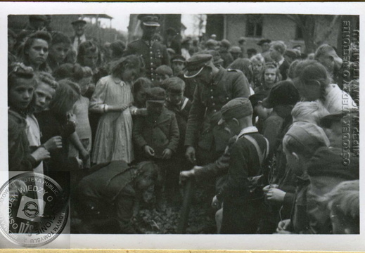 Sadzenie drzewek w szkółce leśnej w Sątopach - 1947r.