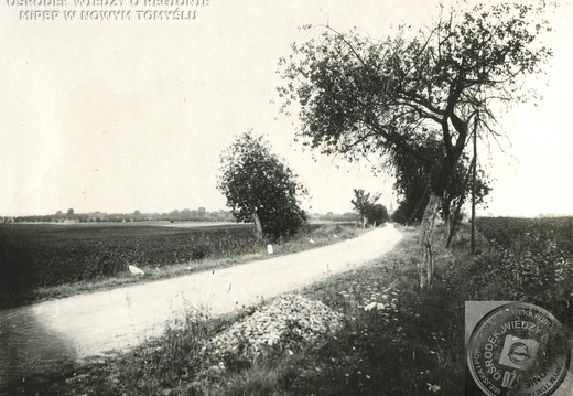 Szosa powiatowa Nowy Tomyśl – Michorzewo. Odcinek Wąsowo-Kuślin, 1929 r.